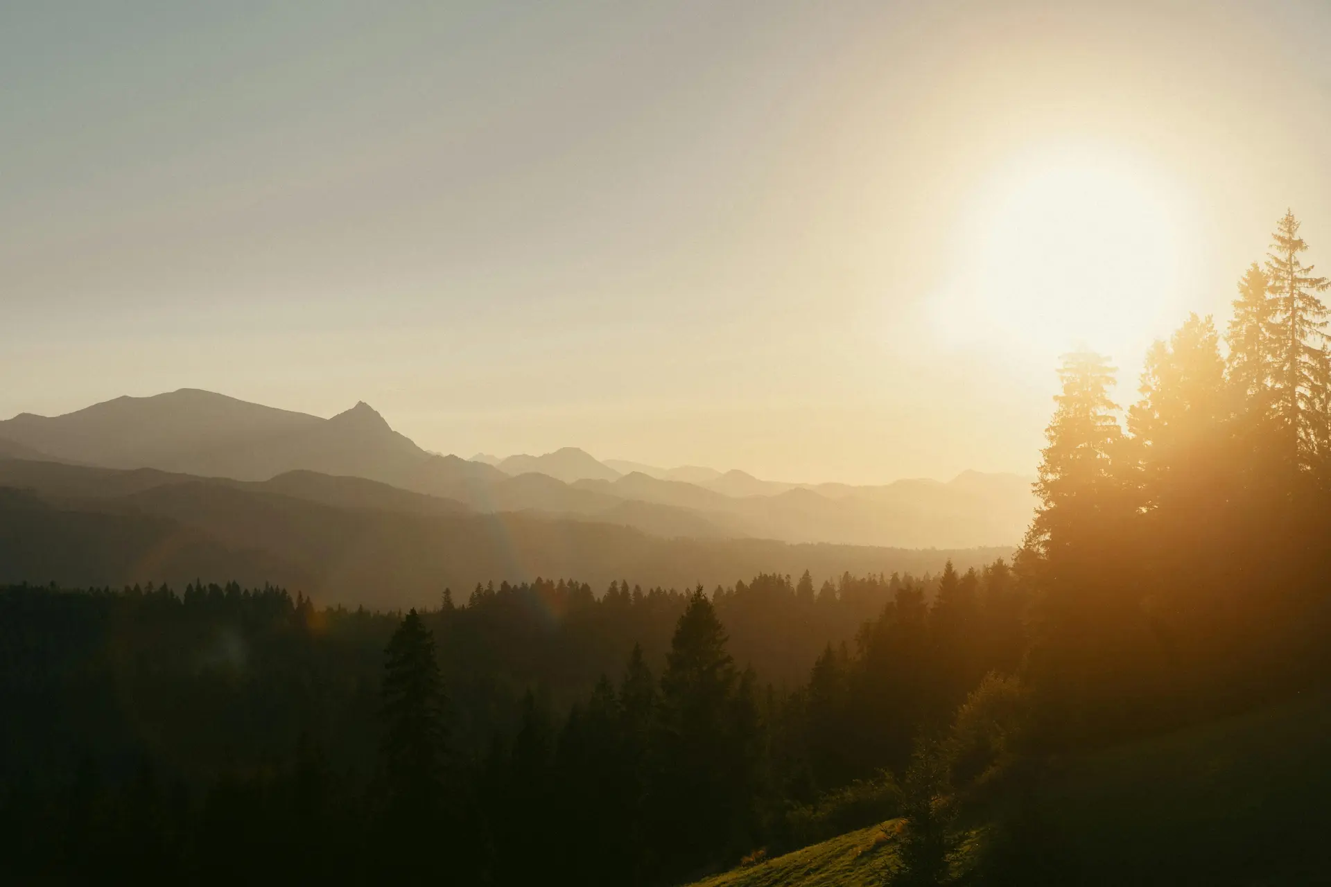Heilraum by SeeYou Shop – Clearing Energy als geführte Energiebehandlung